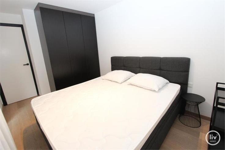 Appartement Spacieux A Knokke エクステリア 写真